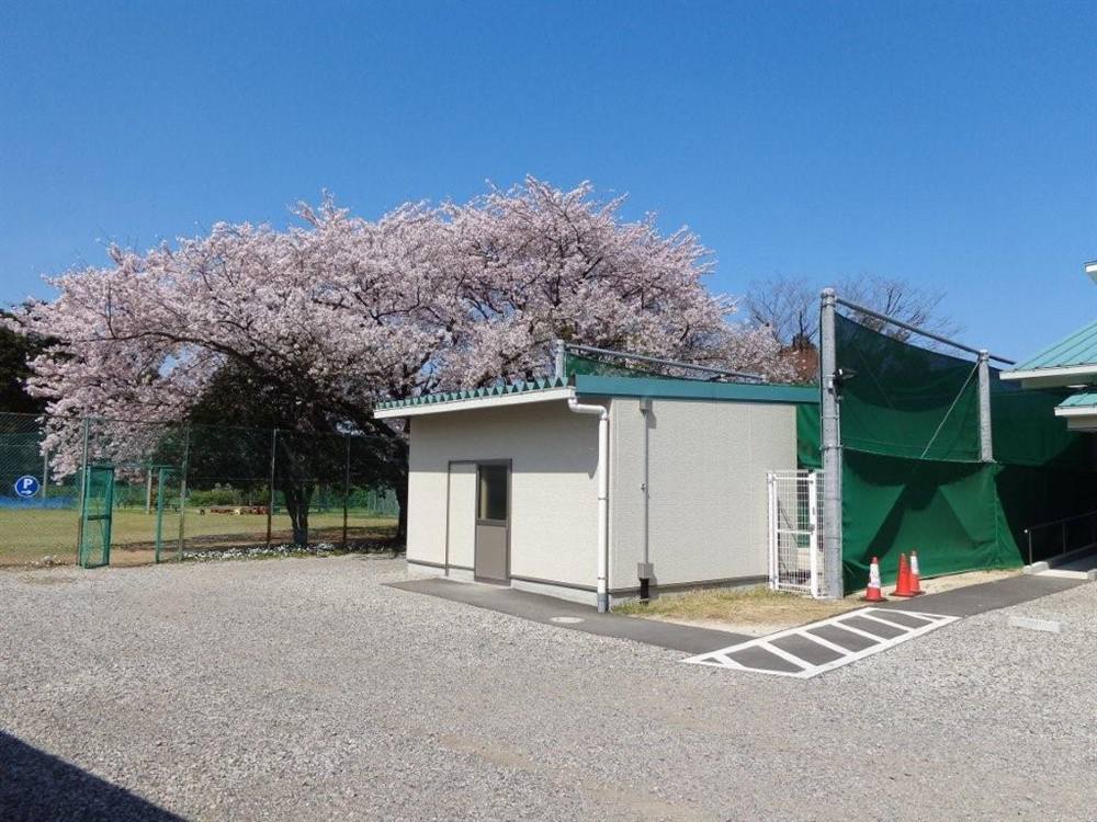 満開の桜と、緑のネットに囲まれた射場の建物